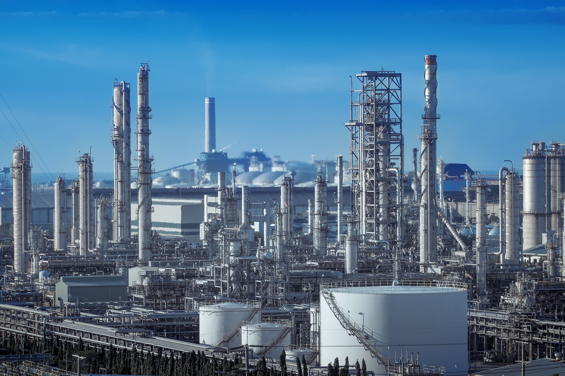 Petroleum plant